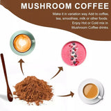 6-in-1 Organic Mushroom Powder - for Brain Health, Improved Focus, Fatigue Resistance and Digestive Support Semilevi