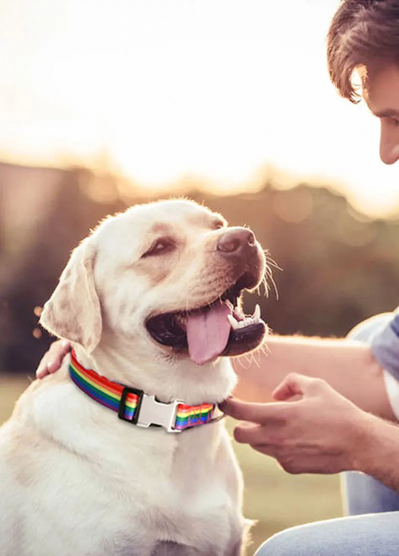 Forest Pattern Collar Pet Accessories Pet Stripes Polyester National Wind Dog Rope Adjustable Nylon Dog Collar Personalized Semilevi