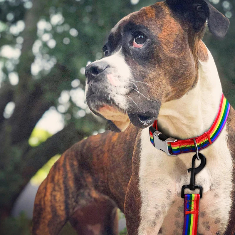 Forest Pattern Collar Pet Accessories Pet Stripes Polyester National Wind Dog Rope Adjustable Nylon Dog Collar Personalized Semilevi