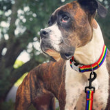 Forest Pattern Collar Pet Accessories Pet Stripes Polyester National Wind Dog Rope Adjustable Nylon Dog Collar Personalized Semilevi